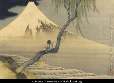Boy on Mount Fuji