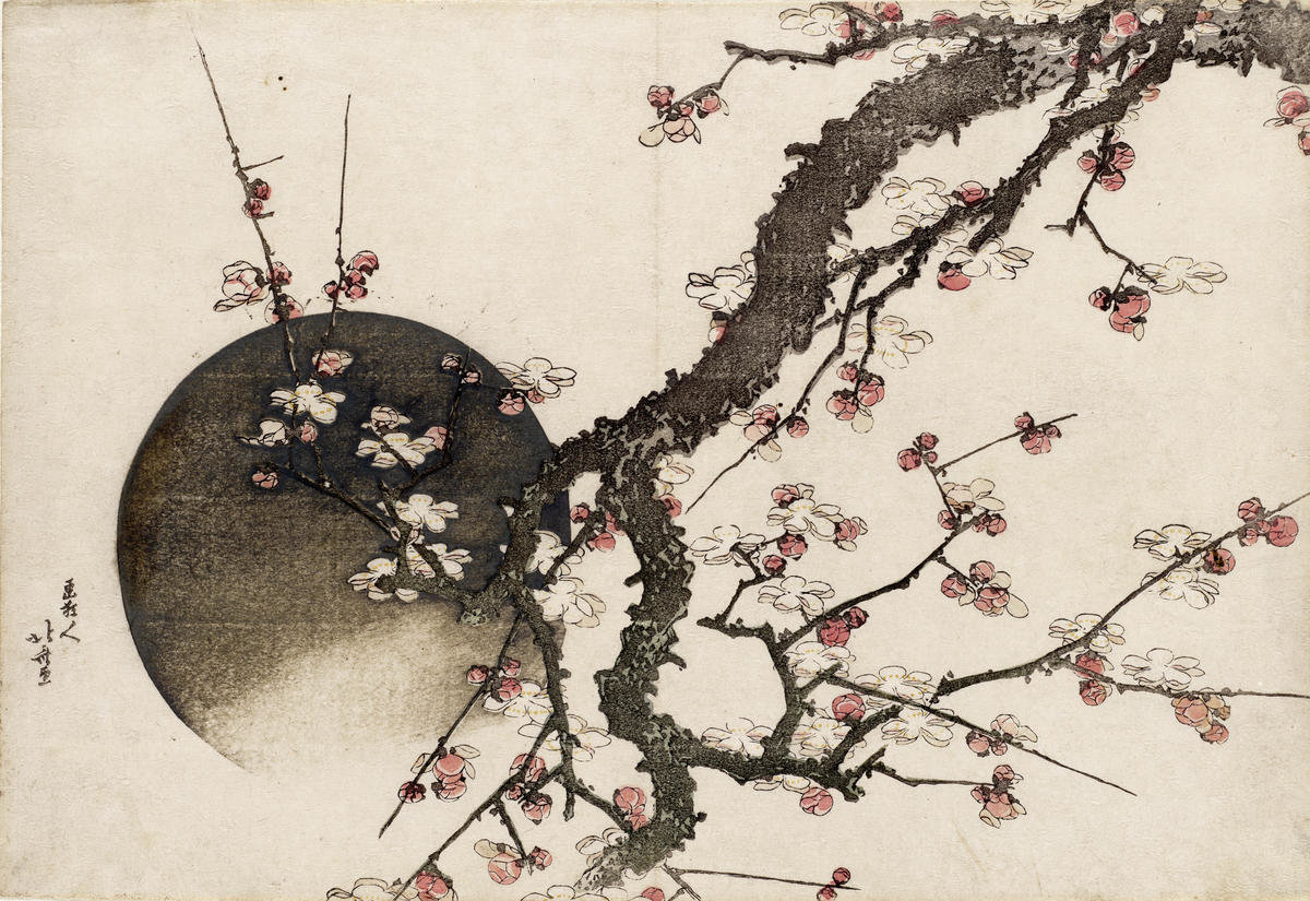 Plum Blossom and the Moon